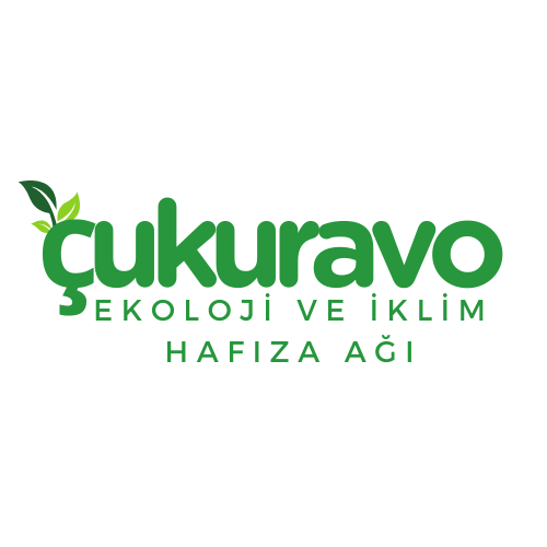 Çukuravo Ekoloji İklim Hafıza Ağı's avatar