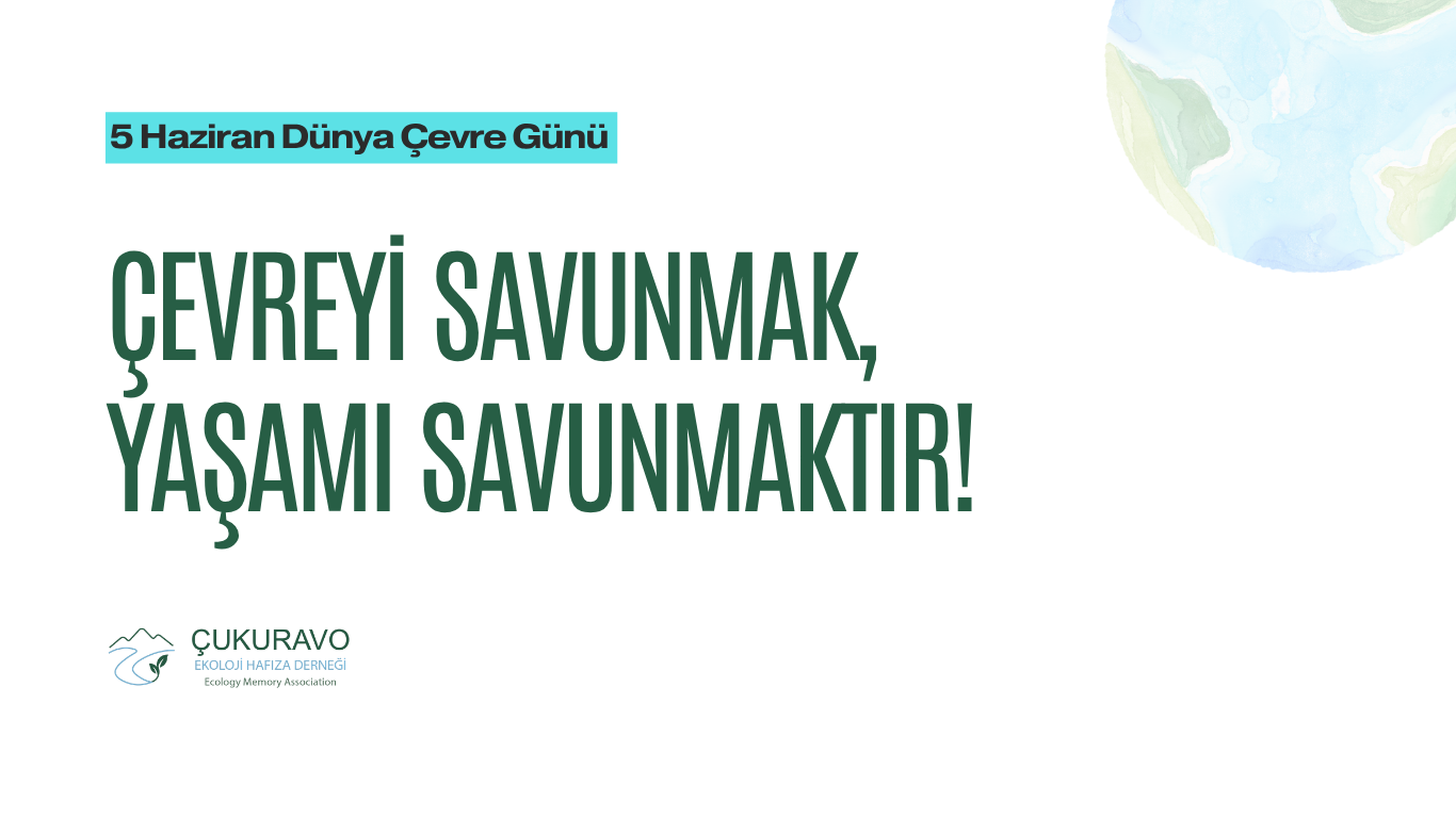 Çevreyi Savunmak Yaşamı Savunmaktır!