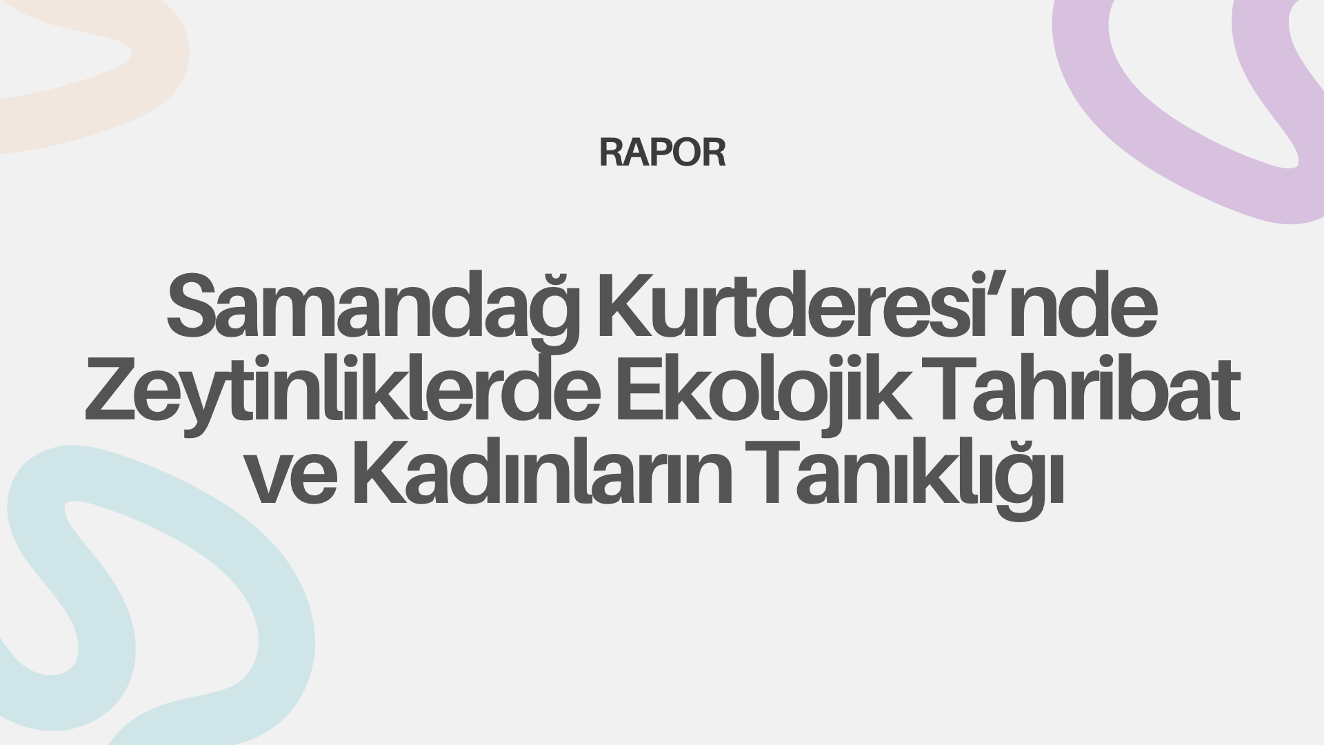 Rapor | Samandağ Kurtderesi’nde Zeytinliklerde Ekolojik Tahribat ve Kadınların Tanıklığı